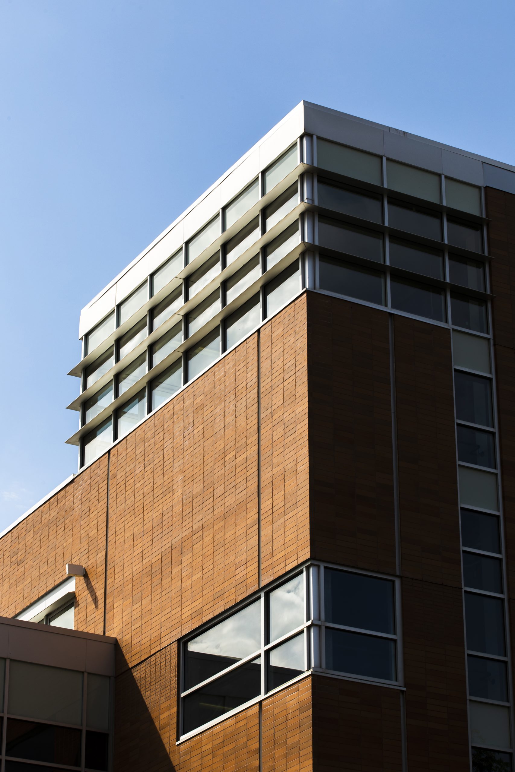 modern-building-with-many-windows