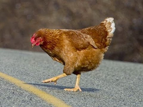 Chicken road 2 demo - Il Ritorno di Chicken Road 2: Il Gioco d'Azzardo per l'Italia Chicken road 2 demo - Il Ritorno di Chicken Road 2: Il Gioco d'Azzardo per l'Italia